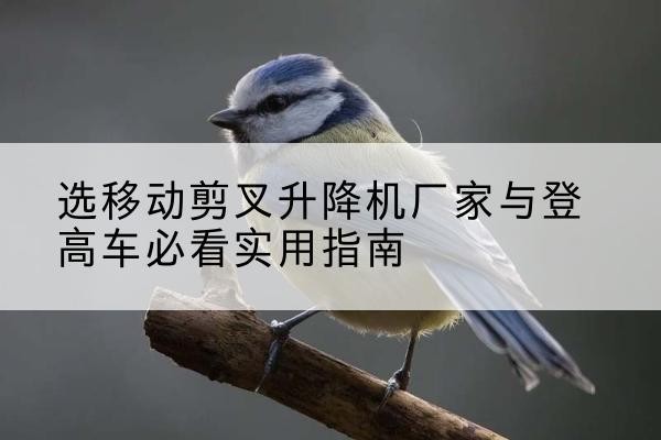 吉首电动升降机厂家-选移动剪叉升降机厂家与登高车必看实用指南