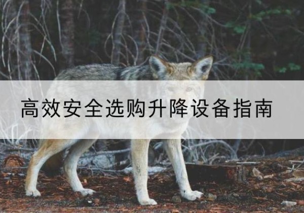 吉首升降货梯厂家推荐-*安全选购升降设备指南