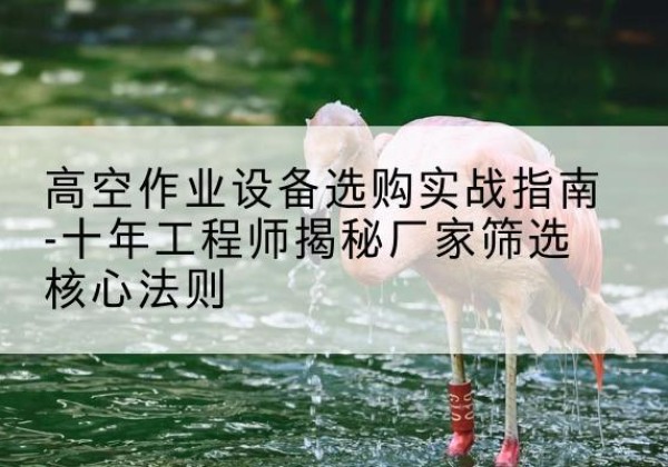 吉首剪叉式升降机厂家-高空作业设备选购实战指南-十年工程师揭秘厂家筛选核心法则
